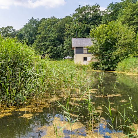 Walk up to stunning views over the pond from your bedroom window