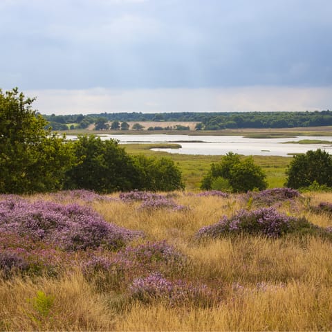 Explore the beautiful River Deben, which is just a stone's throw away