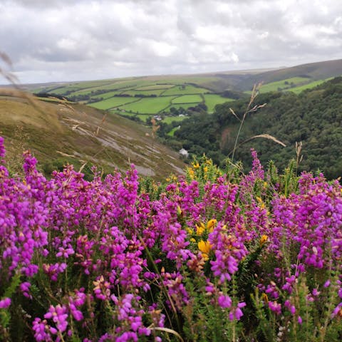 Hike the Exmoor hills and experience its unspoiled beauty