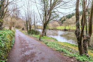 The Quiet Current image 13