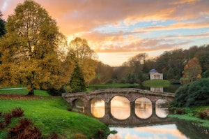 Hammoon Manor image 13