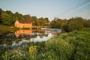 Hammoon Manor image 11