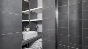 Silver Starlight image 15