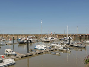 Catching Oysters image 9