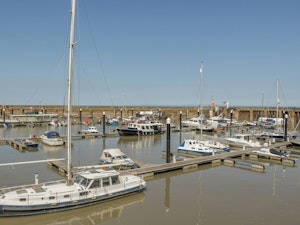 Catching Oysters image 4