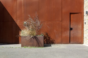 Amuse-Bouche image 10