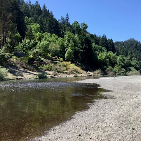 Stroll along the river bank of the Russian River, located at the end of the backyard