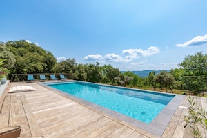 Provence Bloom image 14