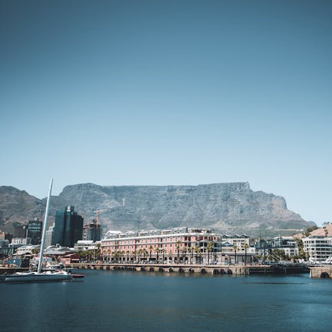 Explore Cape Town's bustling V&A Waterfront district