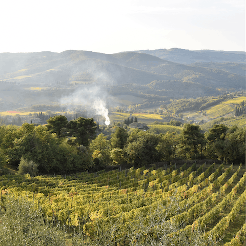 Explore Puglia's gorgeous countryside, right on your doorstep