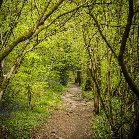 Embark on long rambles through the surrounding nature reserve and keep an eye out for wildlife