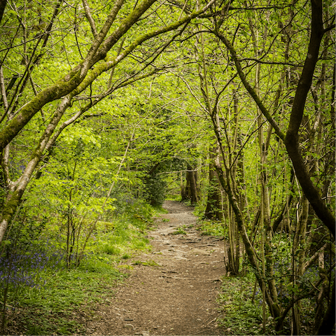 Embark on long rambles through the surrounding nature reserve and keep an eye out for wildlife