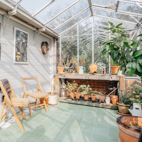 Enjoy a cuppa in the adjoining greenhouse