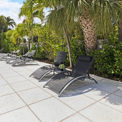 Relax in the Floridian sun on a lounger
