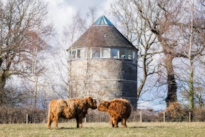Forth & Tower image 10