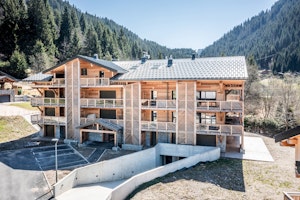 Alpine Rivulet image 2