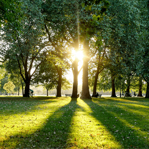 Enjoy a refreshing morning stroll through Hyde Park