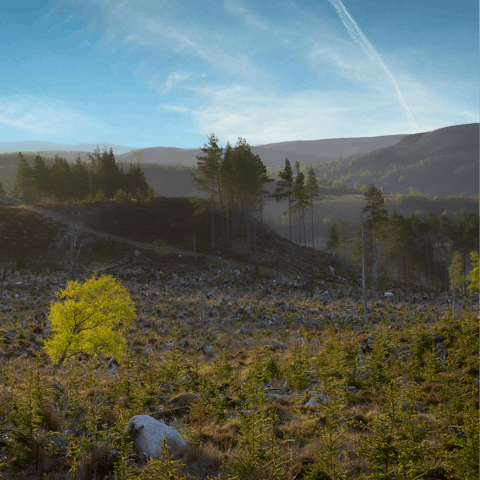 Discover the beauty of the Cairngorms National Park – don't forget your hiking boots