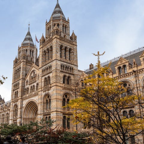 Stay in the heart of South Kensington, just a short walk from the V&A and the Natural History Museum 
