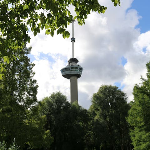 Walk to the Euromast observation tower for the best views of Rotterdam