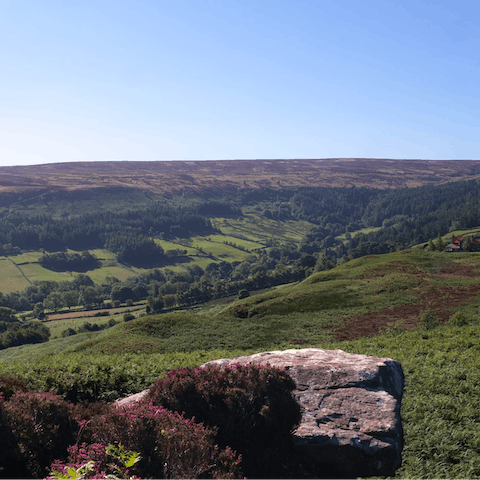 Hop in the car and drive over to the sprawling North Yorks Moors in under twenty minutes