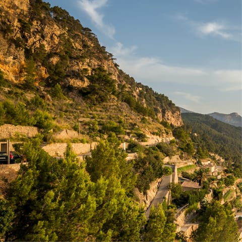 Explore the rugged beauty Mallorca's rural interior from your base near Sineu