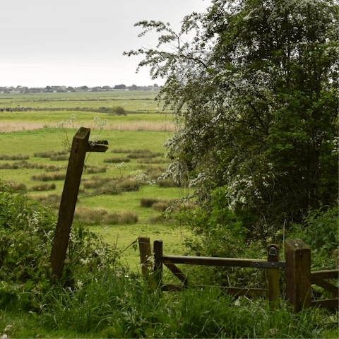 Head off for hikes across the marshes and fields – maybe stopping at a village pub