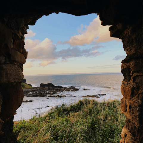 Trek along the surrounding North Berwick coastline