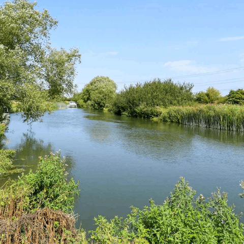 Go wild swimming in the river Thames nearby