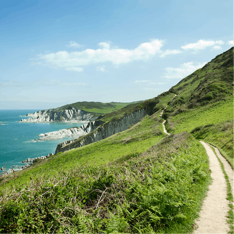 Take a half-hour drive to Devon's beautiful coastline