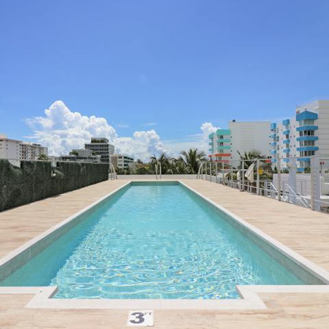 Take a dip in the communal rooftop pool