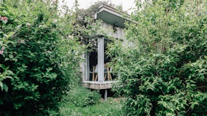 Cabin Culture image 15