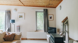 Cabin Culture image 7