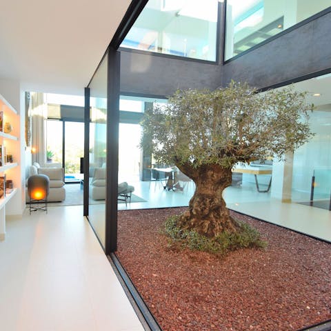 Admire the 200-year-old olive tree in the inner courtyard