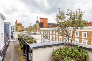Chelsea Sunshine image 12