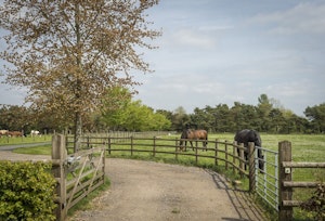 Limestone Cottage image 12