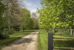 Limestone Cottage image 9