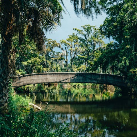 Get to know the sprawling greenery of New Orleans City Park, just over a quarter of an hour away by foot