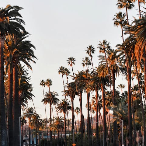 Take the short drive into the heart of Beverly Hills