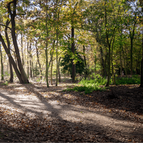 Stretch your legs in nearby Bois de Boulogne