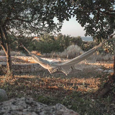 Swing in the hammock on a sun-kissed afternoon