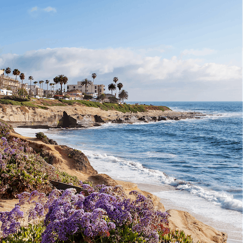 Visit La Jolla's stunning beaches