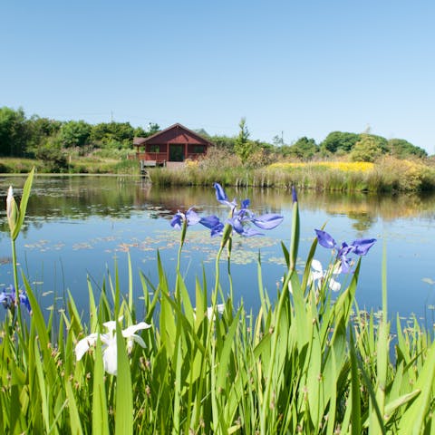 Cast your line into the fishing lake and relax in the sunshine