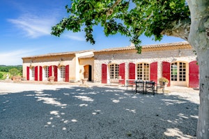 Picnic in Provence image 10