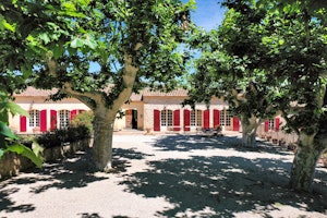 Picnic in Provence image 7