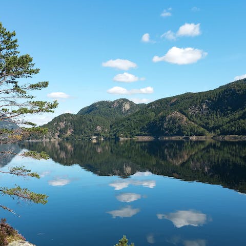 Take in the views of the Ørevatn Lake