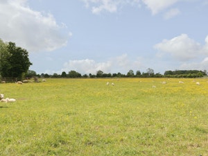 Love in the Cotswolds image 8
