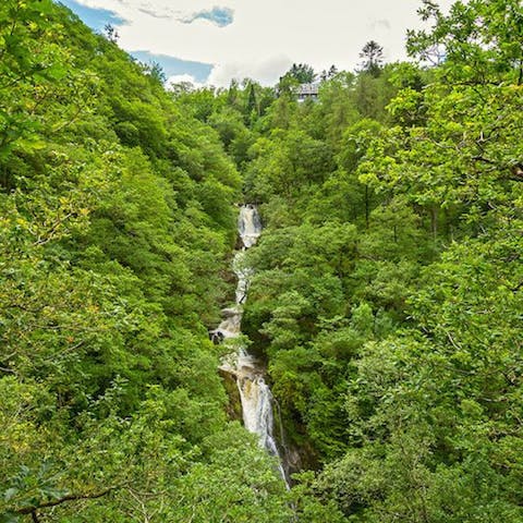 Discover cascading waterfalls on scenic hikes right from your doorstep