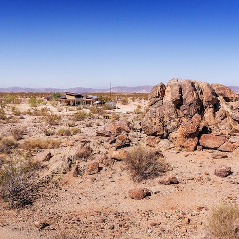 Explore the acres of surrounding desert bordering Joshua Tree National Park