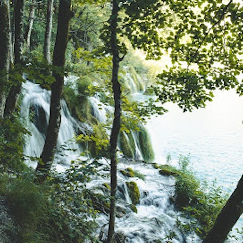 Drink in the wildness of the local forests and rivers